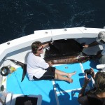 Puerto Vallarta Fishing Charters