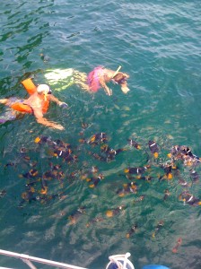 Puerto Vallarta snorkeling adventures