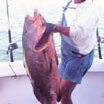 deep sea fishing puerto vallarta