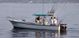 puerto vallarta fishing charters