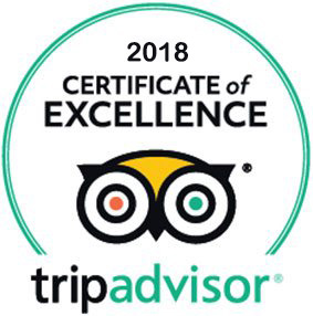 puerto vallarta tripadvisor reviews