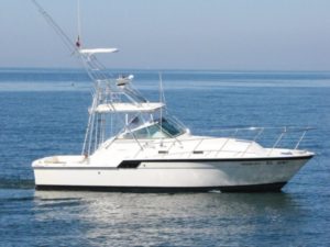 deep sea fishing boat in puerto vallarta