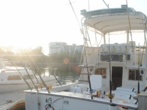 puerto vallarta sport fishing 32'