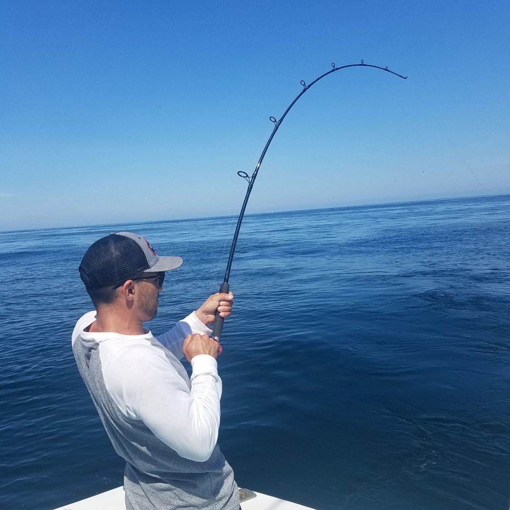 puerto vallarta fishing trips