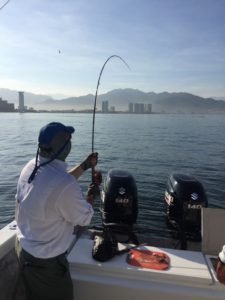 puerto vallarta fly fishing