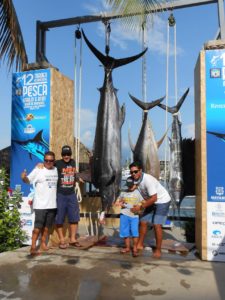 fishing tournament in puereto vallarta