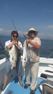 puerto vallarta roosterfish