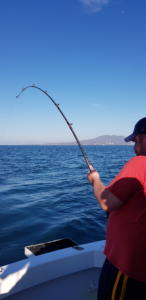 february fishing report for puerto vallarta