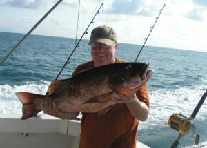 puerto vallarta fishing red snapper