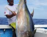 puerto vallarta tuna fishing in august