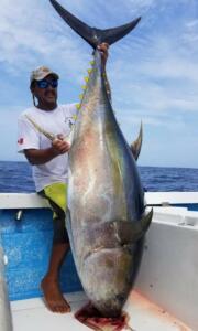 puerto vallarta tuna fishing