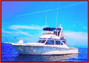 fishing boats in puerto vallarta