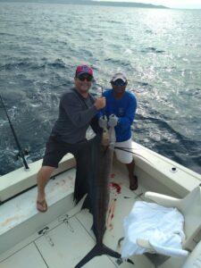 sailfish feeding in puerto vallarta