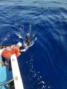 puerto vallarta fishing