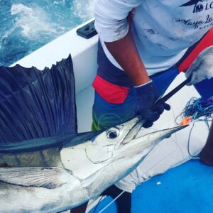 rapala fishing in Puerto vallarta