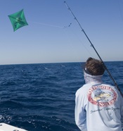 Puerto Vallarta kite fishing