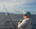 puerto vallarta fishing report january