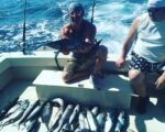 puerto vallarta fishing report