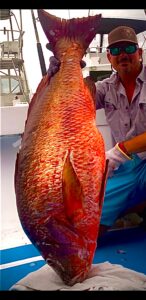 puerto vallarta snapper fishing