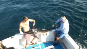 November fishing for marlin in Puerto Vallarta
