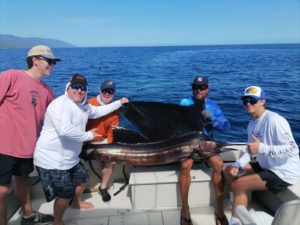 fishing for sailfish in the month of July in Puerto Vallarta