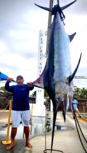 marlin fishing