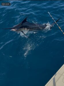 Marlin fishing in Mexico
