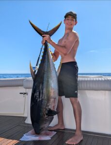 cow tuna Puerto Vallarta